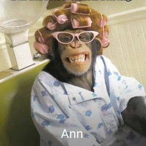 Meet your Posher, Ann